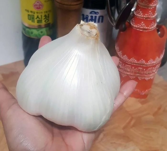 Big Luck (24 pics)