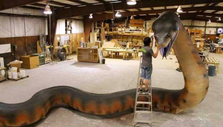 Interesting Photos And Finds (15 pics)