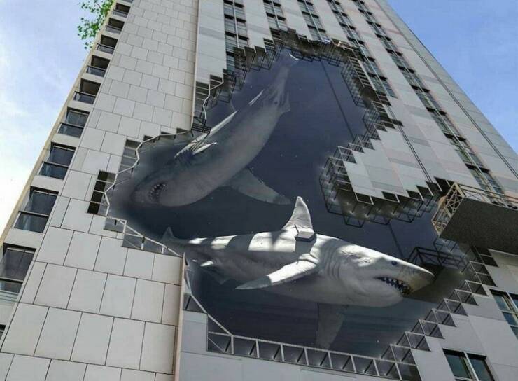 Interesting Photos And Finds (15 pics)
