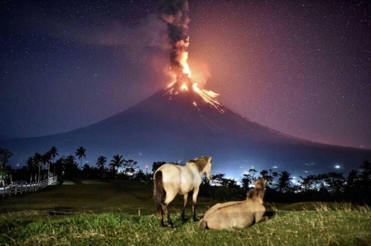 Interesting Photos And Finds (15 pics)