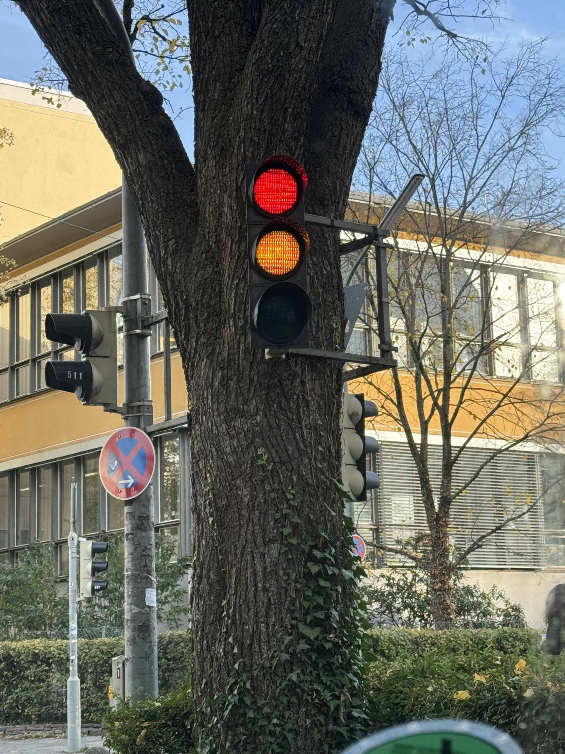 Daily Pictures. Part 1 (64 pics)