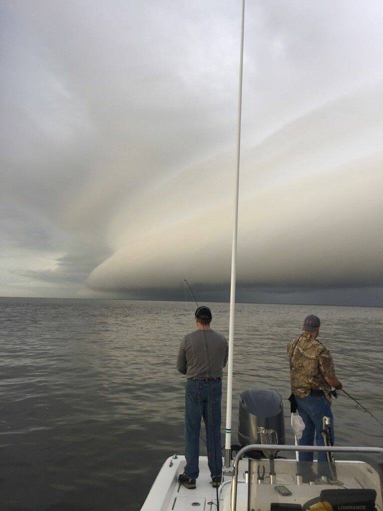 Daily Pictures. Part 1 (64 pics)