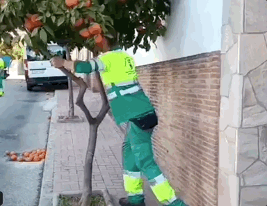 Acid GIFs, September 19 (25 gifs) Acid GIFs, September 19 (25 gifs)