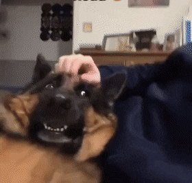 Acid GIFs, September 19 (25 gifs) Acid GIFs, September 19 (25 gifs)