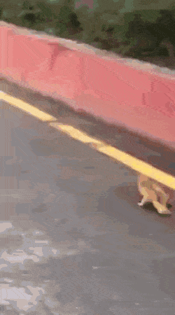 Acid GIFs, September 19 (25 gifs) Acid GIFs, September 19 (25 gifs)