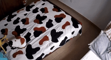Acid GIFs, September 19 (25 gifs) Acid GIFs, September 19 (25 gifs)