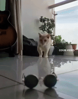 Acid GIFs, September 19 (25 gifs) Acid GIFs, September 19 (25 gifs)