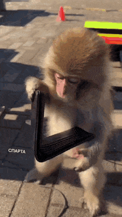 Acid GIFs, September 19 (25 gifs) Acid GIFs, September 19 (25 gifs)