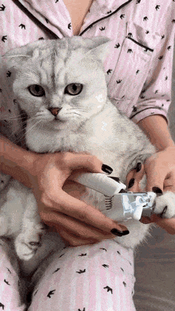 Acid GIFs, September 19 (25 gifs) Acid GIFs, September 19 (25 gifs)