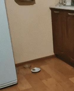 Acid GIFs, September 19 (25 gifs) Acid GIFs, September 19 (25 gifs)