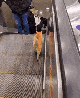 Acid GIFs, September 19 (25 gifs) Acid GIFs, September 19 (25 gifs)