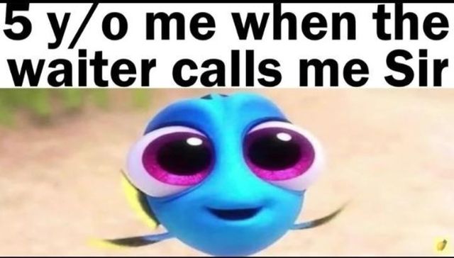 Funny Memes (34 pics)
