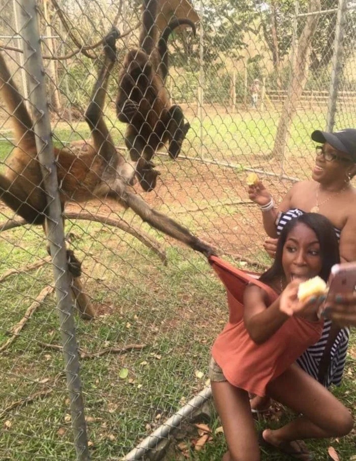 Funny Selfies (15 pics)