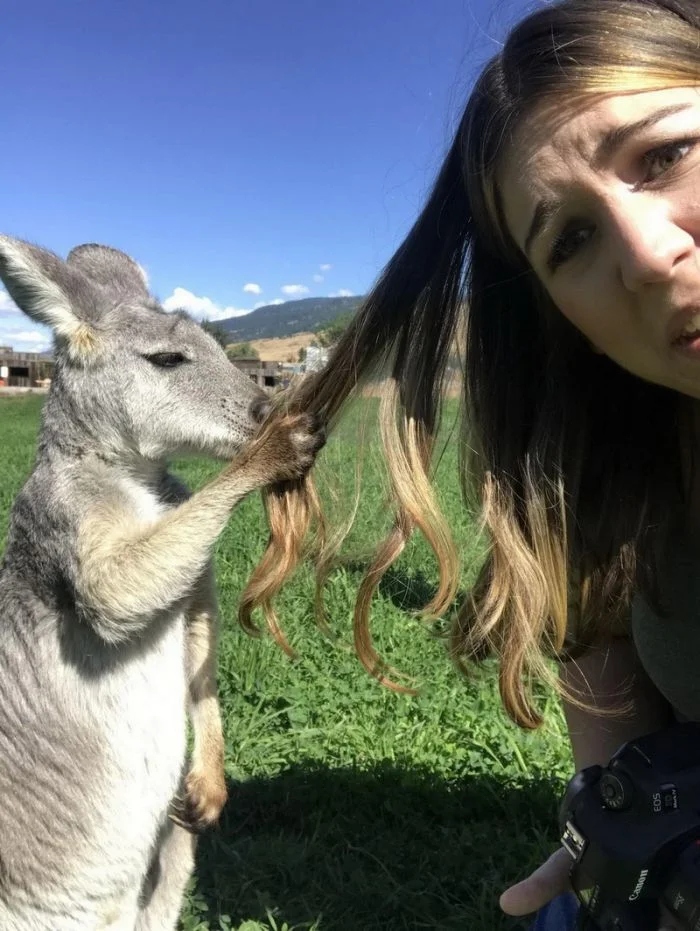 Funny Selfies (15 pics)