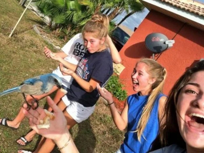 Funny Selfies (15 pics)