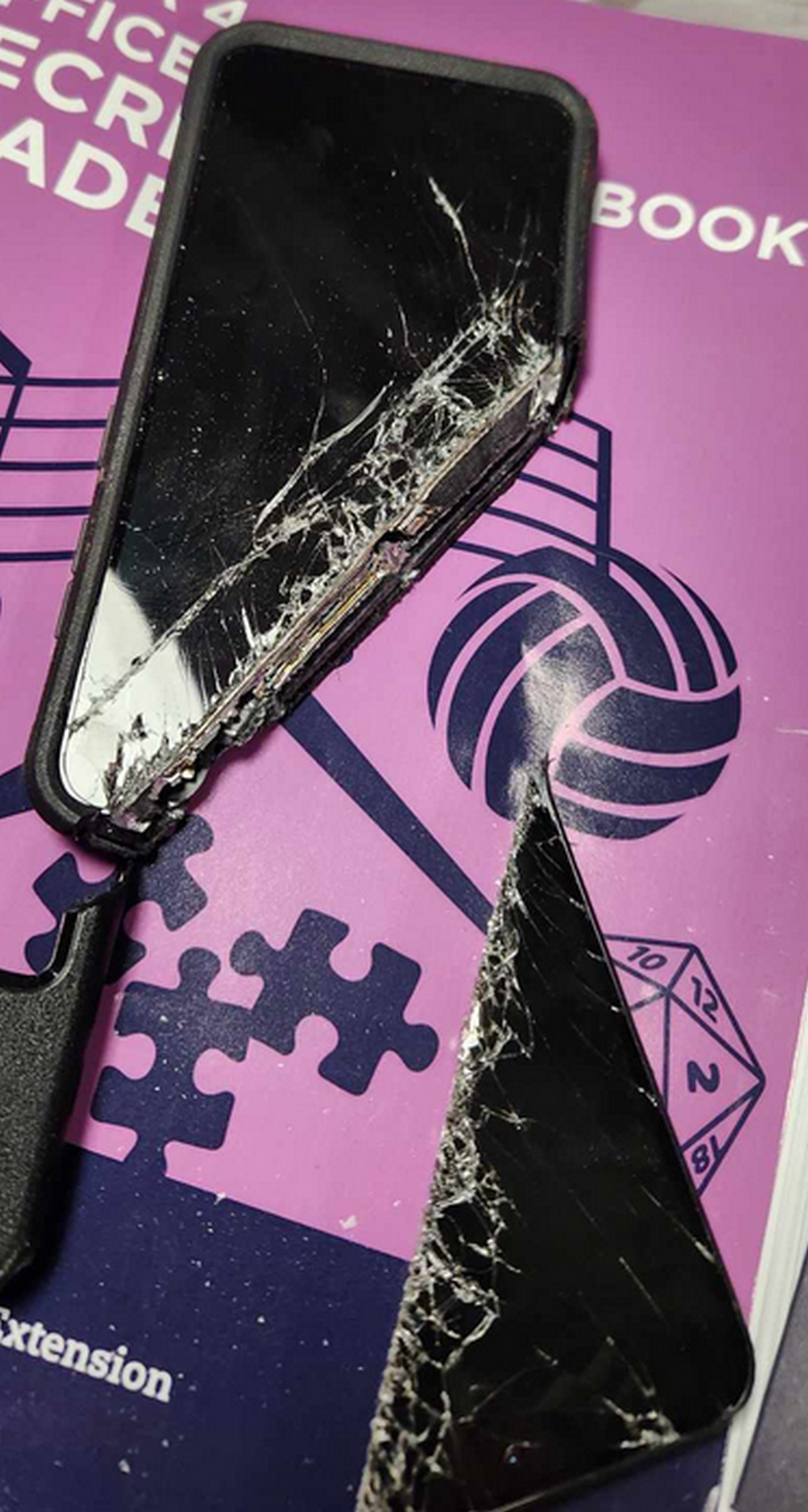 Bad Days Happen (25 pics)