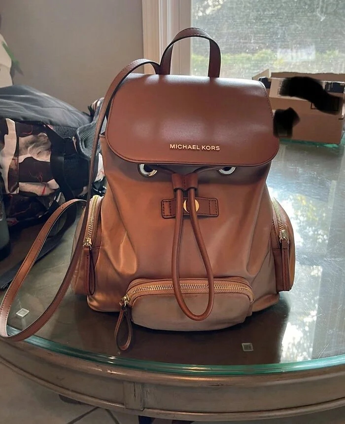 This Is Pareidolia (21 pics)