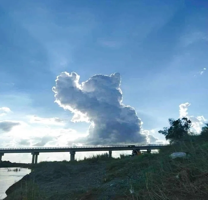 This Is Pareidolia (21 pics)