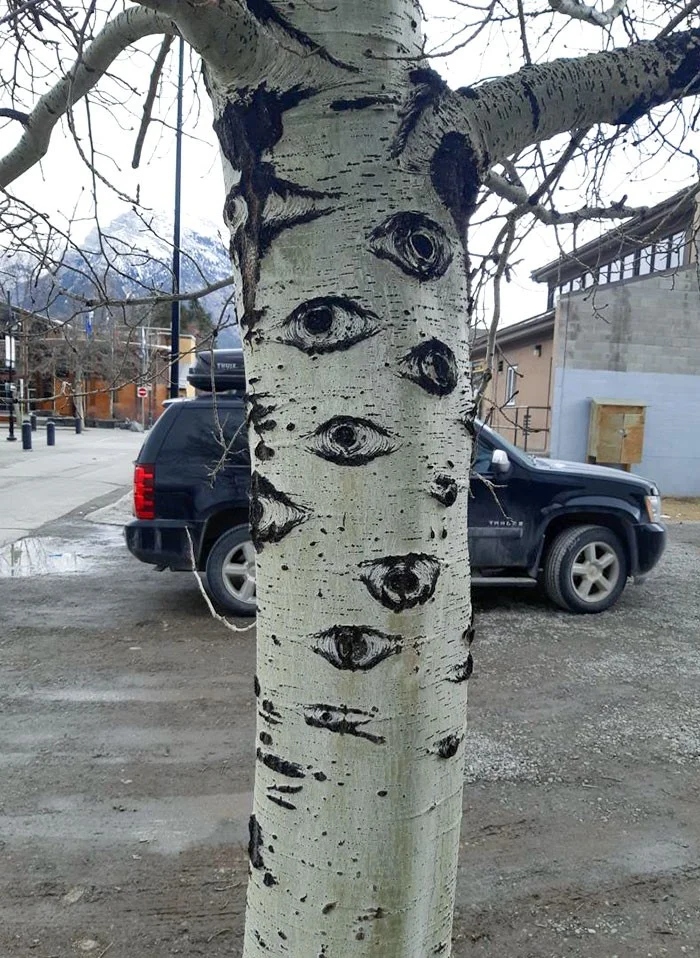 This Is Pareidolia (21 pics)
