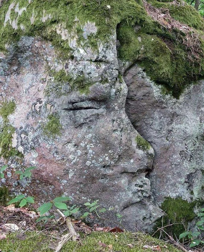 This Is Pareidolia (21 pics)