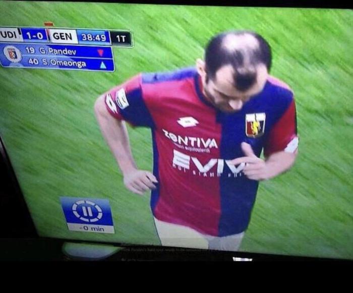 Funny Haircuts (21 pics)