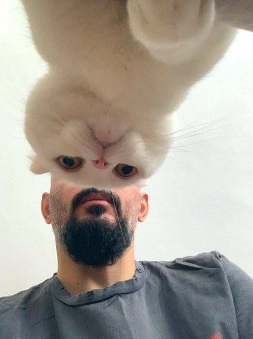 Daily Pictures. Part 1 (63 pics)