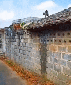 Acid GIFs, September 22 (25 gifs)