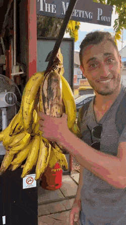 Acid GIFs, September 22 (25 gifs) Acid GIFs, September 22 (25 gifs)