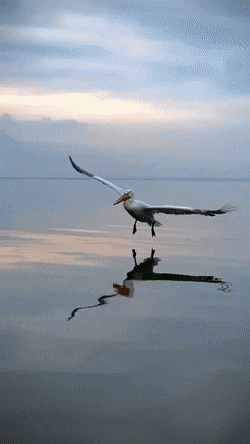 Acid GIFs, September 22 (25 gifs) Acid GIFs, September 22 (25 gifs)