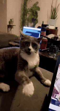 Acid GIFs, September 22 (25 gifs) Acid GIFs, September 22 (25 gifs)