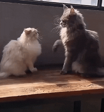 Acid GIFs, September 22 (25 gifs) Acid GIFs, September 22 (25 gifs)