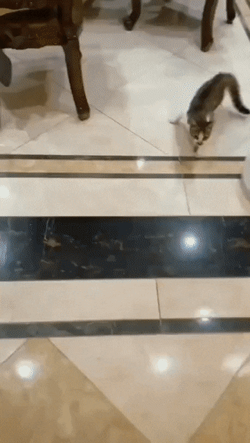 Acid GIFs, September 22 (25 gifs)