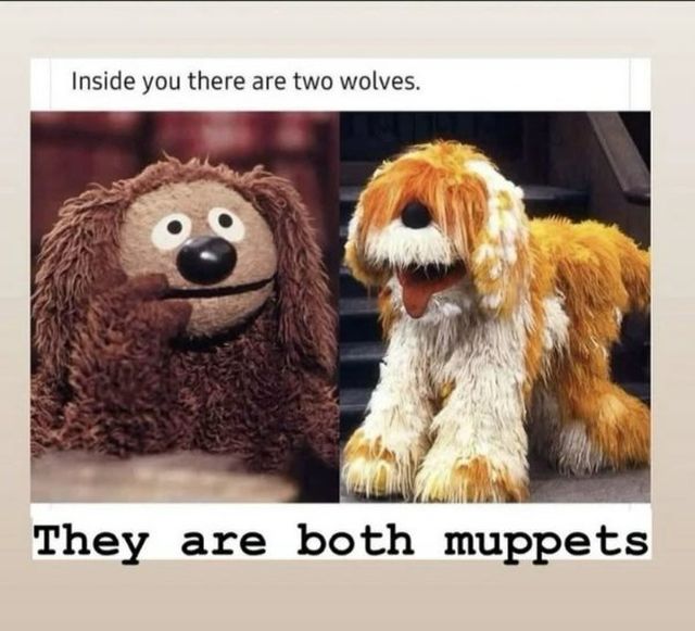 Funny Memes (22 pics)