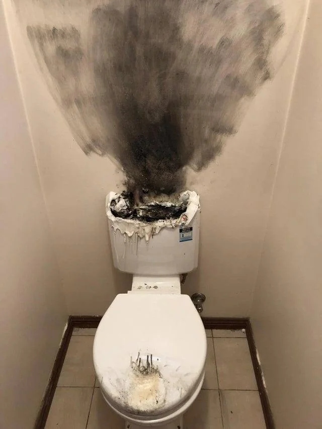 What Is Going On Here? (16 pics)