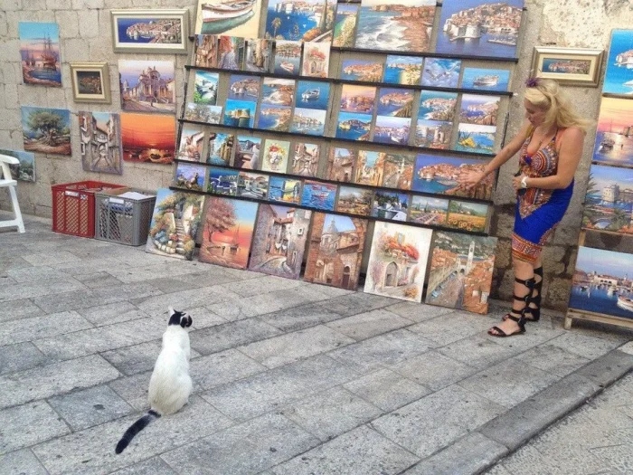 What Is Going On Here? (16 pics)