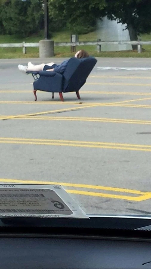 What Is Going On Here? (16 pics)