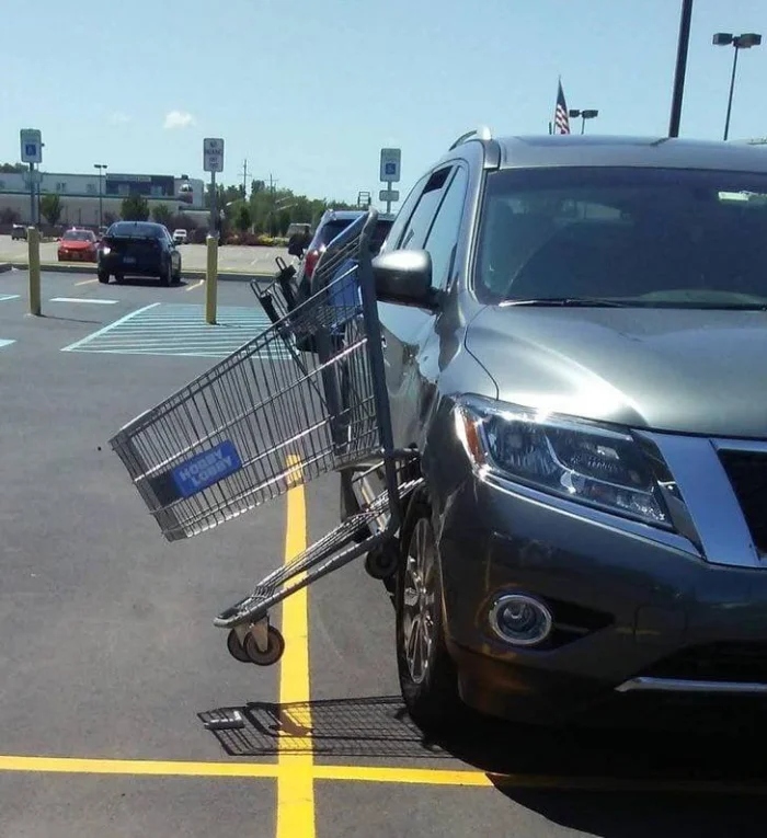 What Is Going On Here? (16 pics)