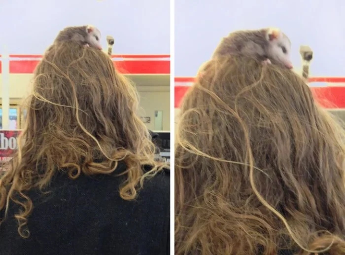 What Is Going On Here? (16 pics)