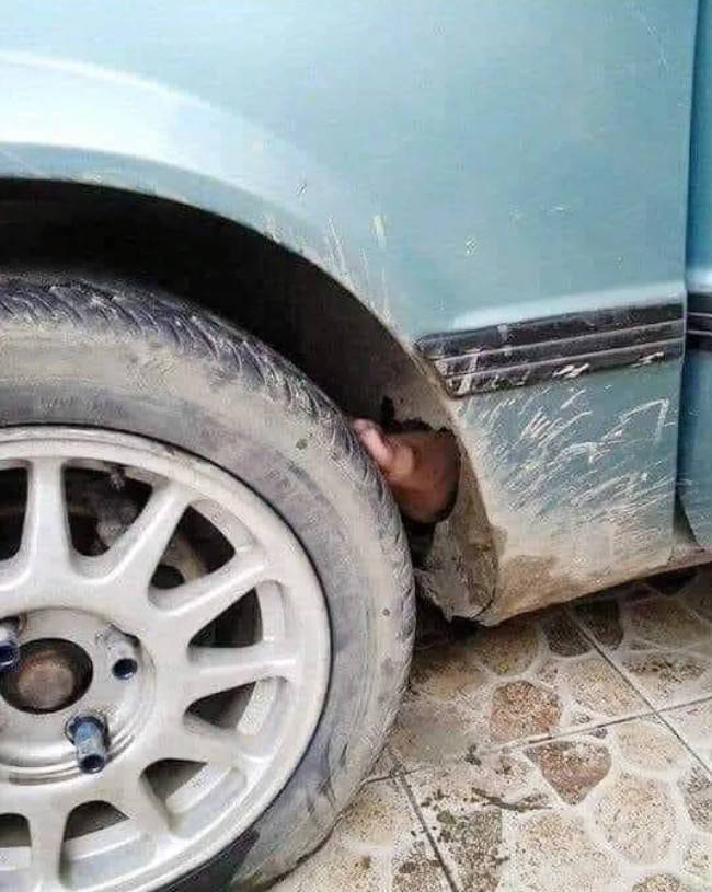 Daily Pictures. Part 2 (59 pics)