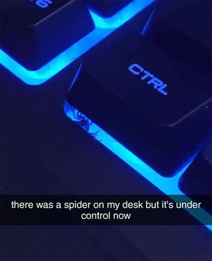Daily Pictures. Part 2 (59 pics)