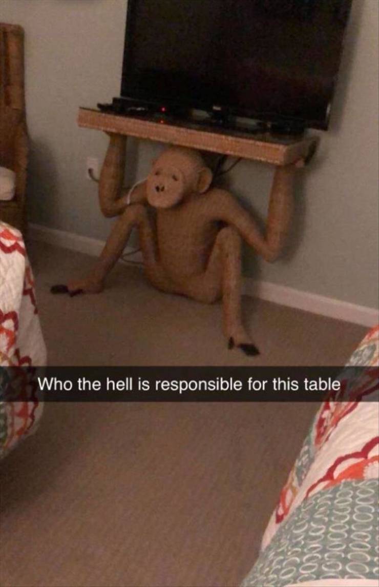 Daily Pictures. Part 2 (59 pics)