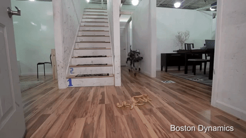 Acid GIFs, September 23 (25 gifs) Acid GIFs, September 23 (25 gifs)