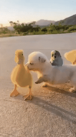 Acid GIFs, September 23 (25 gifs) Acid GIFs, September 23 (25 gifs)