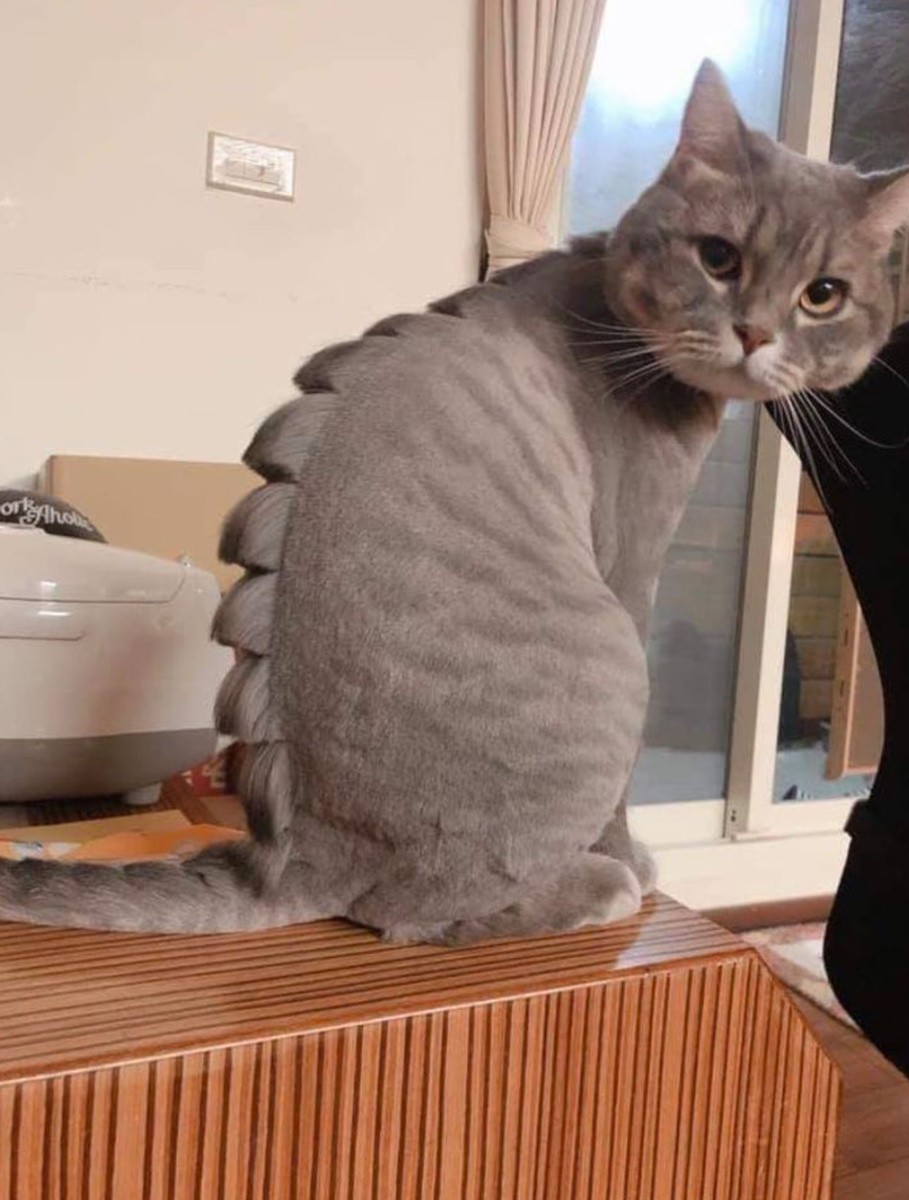 Weird Designs (17 pics)