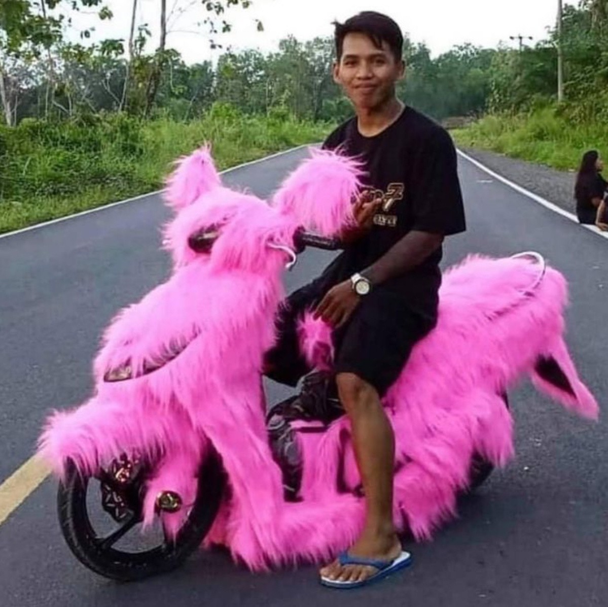 Weird Designs (17 pics)
