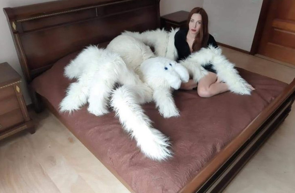 Weird Designs (17 pics)
