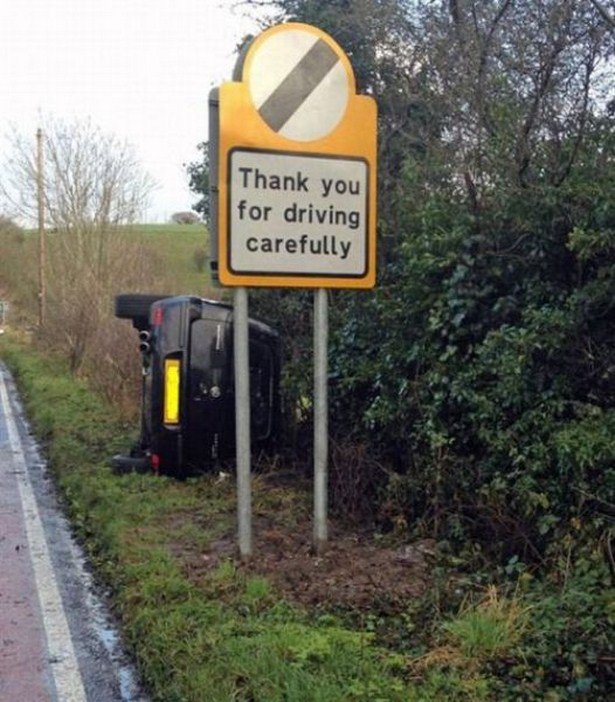 Odd Finds And Situations (19 pics)