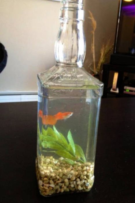 Redneck Inventions (23 pics)