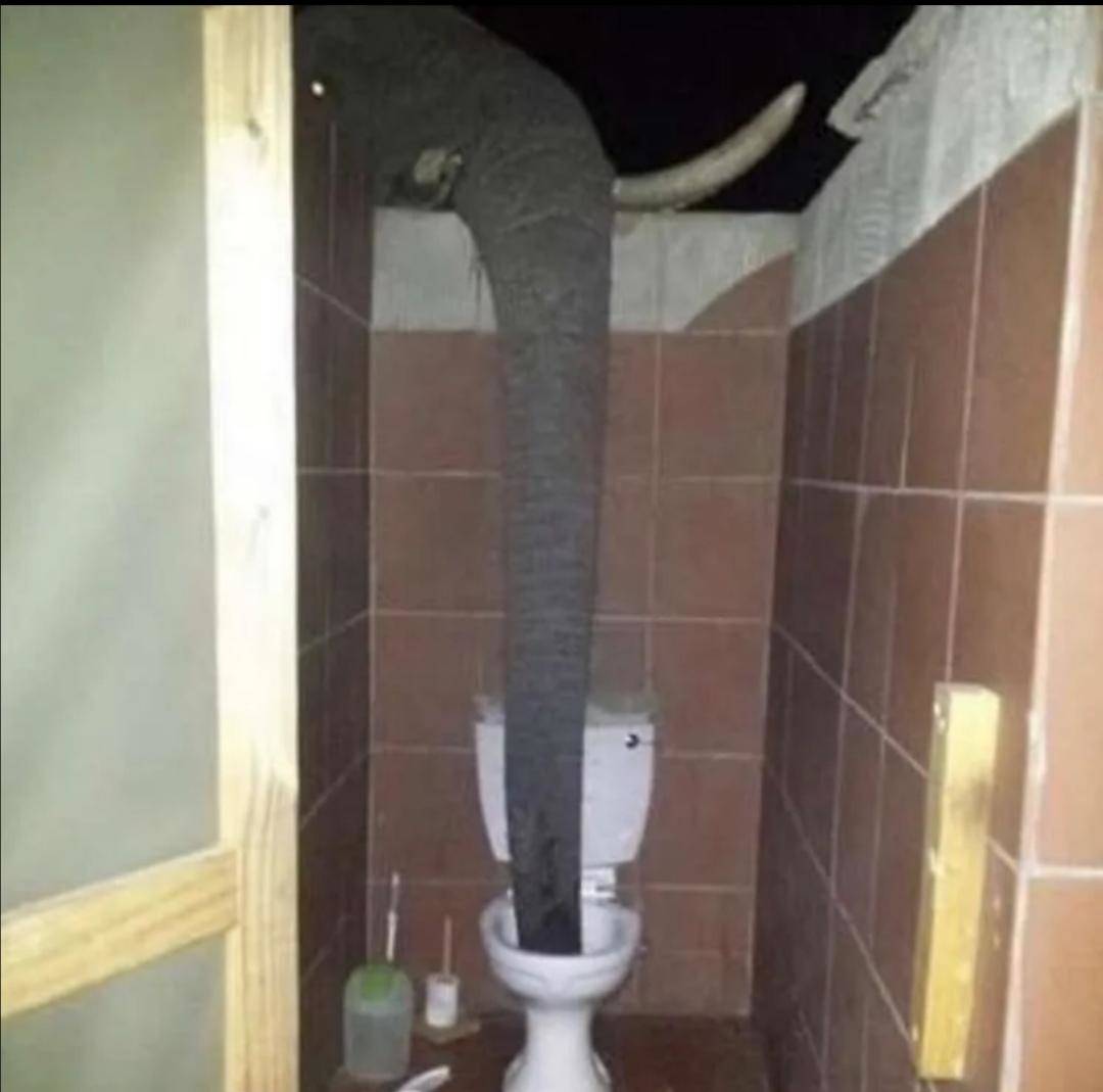 Daily Pictures. Part 2 (60 pics)