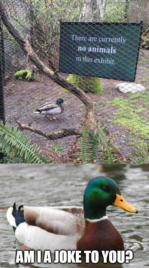 Daily Pictures. Part 2 (60 pics)